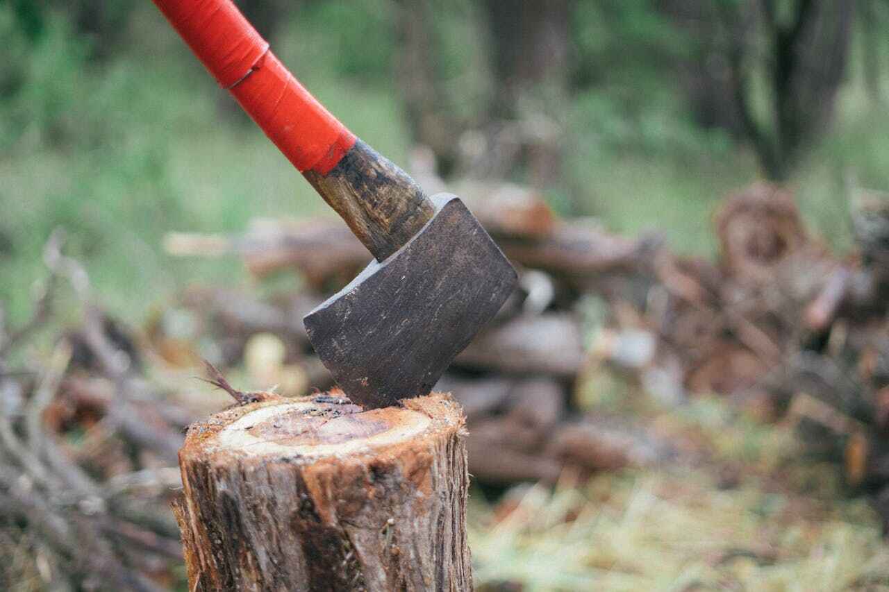 Best Tree Cutting Near Me  in Tower Lakes, IL